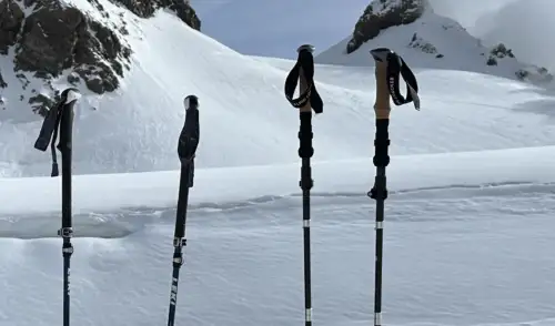 Artikelbild zu Artikel Wandern mit Stöcken 