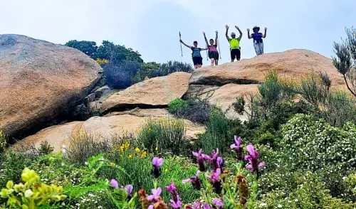 Artikelbild zu Artikel Wanderwoche auf der Insel Elba