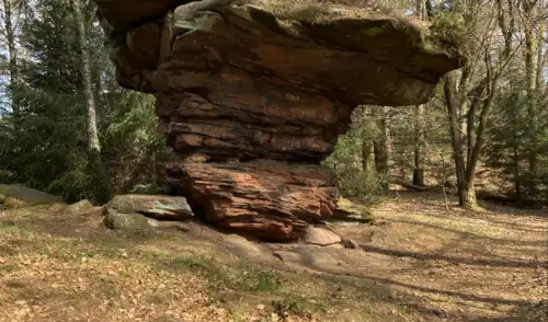 Artikelbild zu Artikel Der Pfälzer Königsweg – Ein Tipp von Cilli und Günter